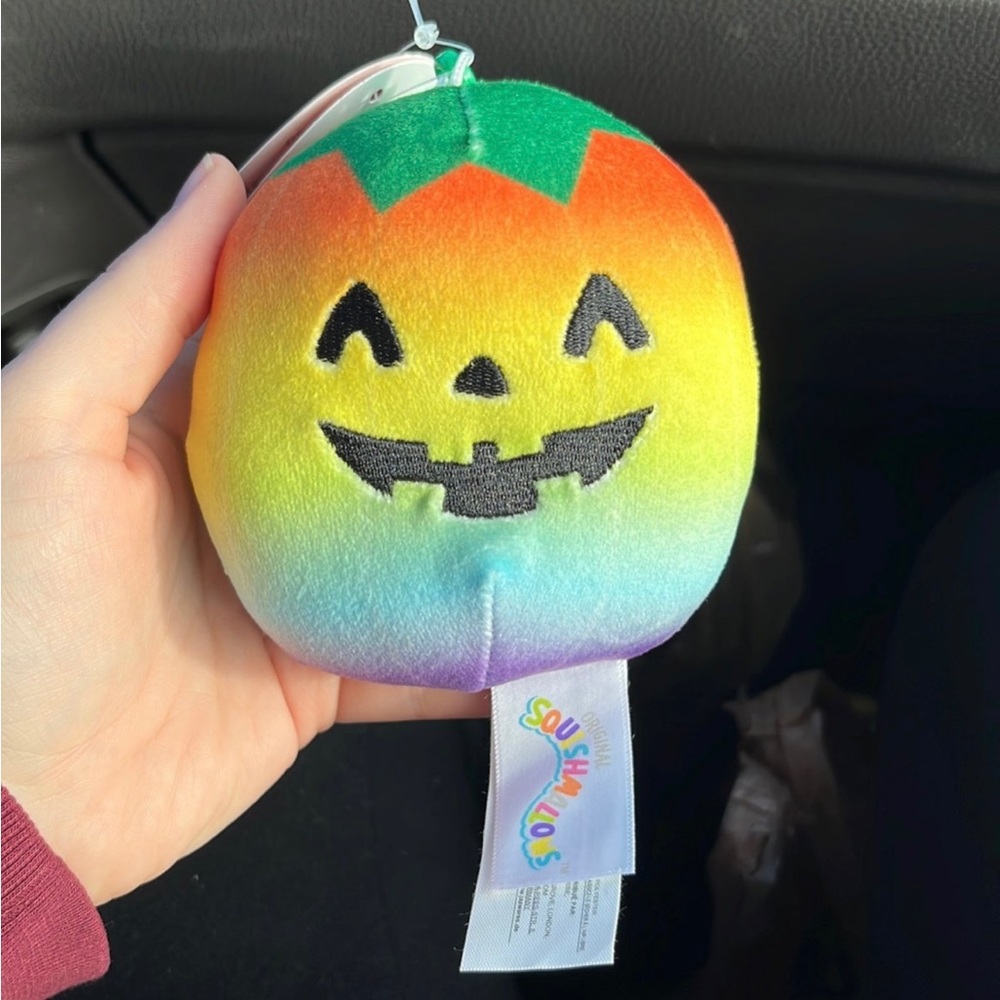 BNWT Staley Squishmallow Clip